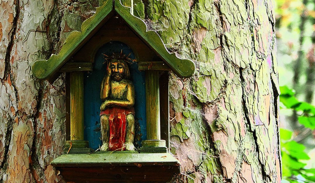 „Kapliczki nadrzewne” Alicji Obary