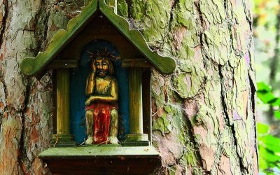 „Kapliczki nadrzewne” Alicji Obary